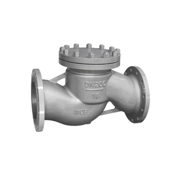 Flange lift check valve