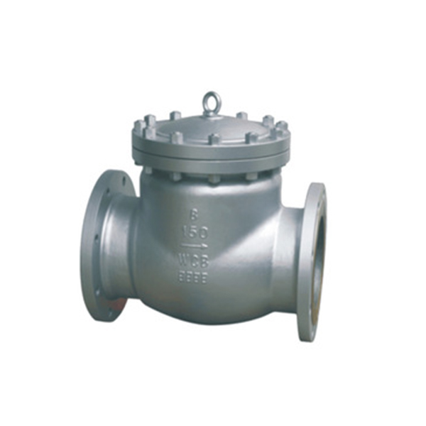 Swing check valve