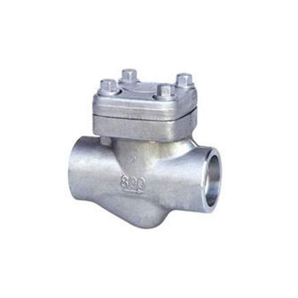 FNPT&Socket welded Swing Check Valve